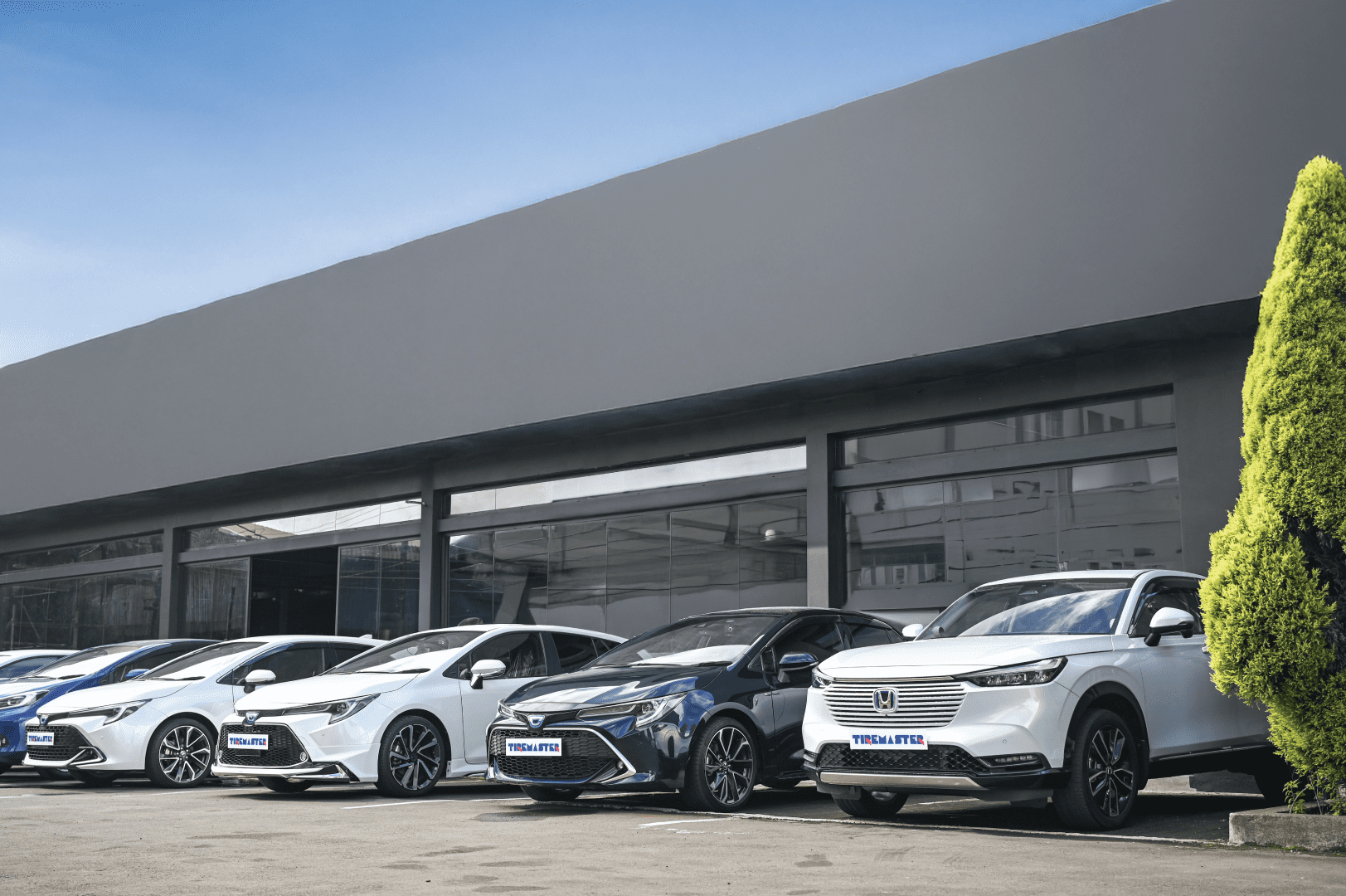 Rangée de voitures à l'extérieur du bâtiment du concessionnaire